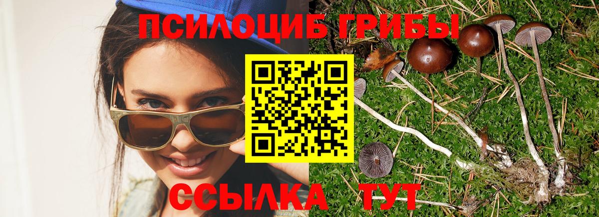 Галлюциногенные грибы ЛСД  Галлюциногенные грибы GOLDEN TEACHER  Вход с VPN  Тула 